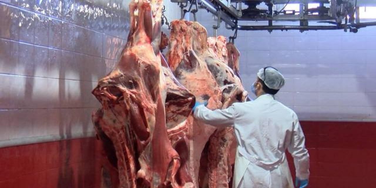 Uzmanlar uyarıyor: Kurban eti ilk 24 saat 0-4 derecede muhafaza edilmeli
