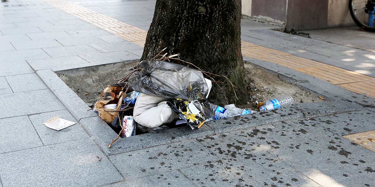 Ağaç diplerine atılan çöp tabiatın dengesini bozuyor