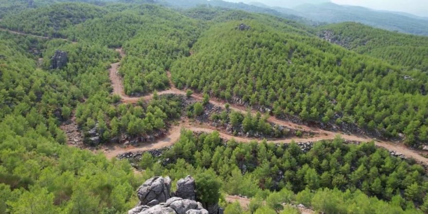 Ormanlara bitişik alanlarda yapı inşa edilemeyecek
