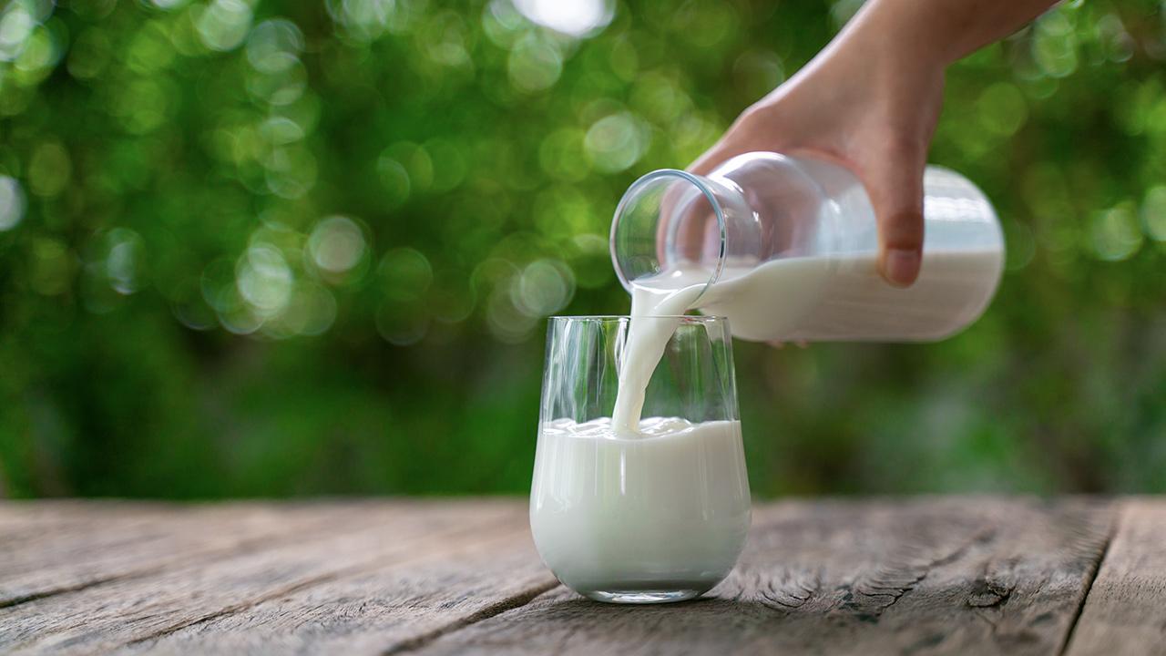Bitkisel süt üretimi artıyor