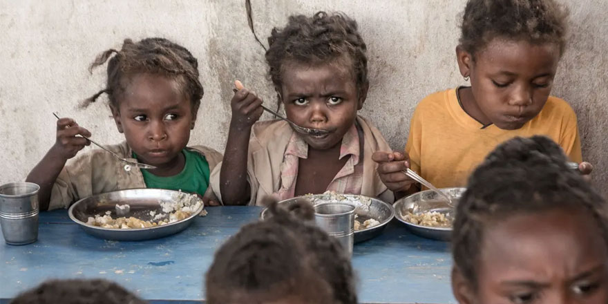 Küresel Gıda Krizi raporu: Yaklaşık 193 milyon insan akut gıda güvensizliği yaşıyor