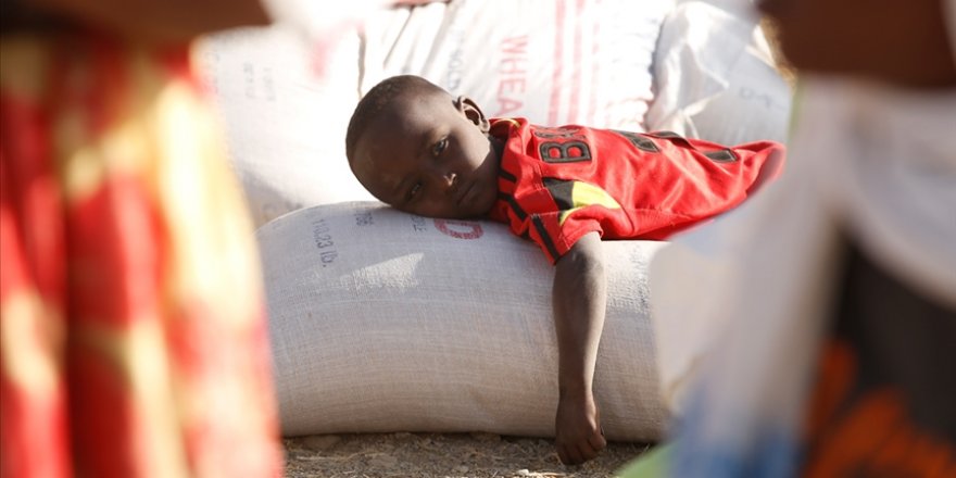 BM: Doğu Afrika kuraklık nedeniyle kıtlık riskiyle karşı karşıya