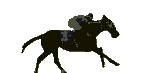 horse5454.gif