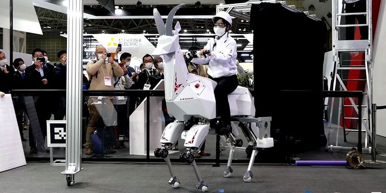 Japonya'da nüfus yaşlanınca robot keçiler devreye girecek