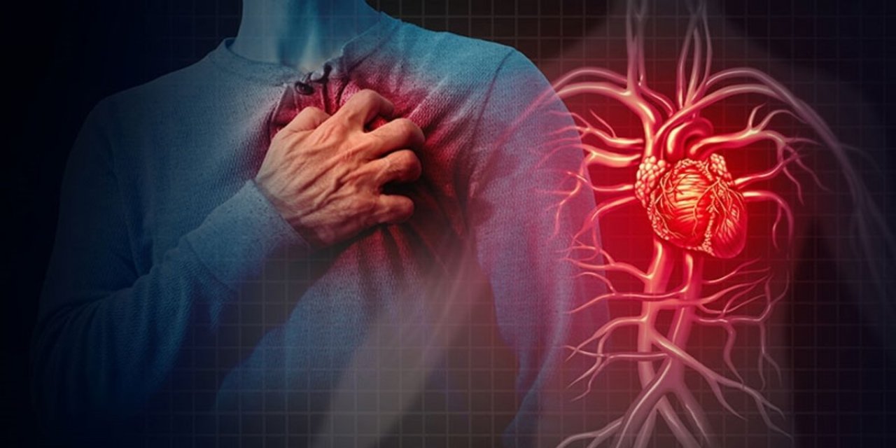 Bilim insanları, kas hücrelerini yenileyerek kalp krizini ‘iyileştirdi’