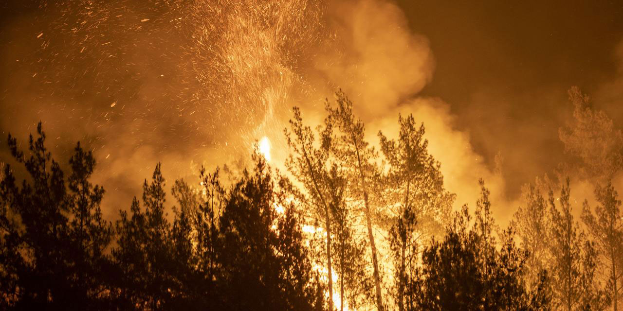 ABD'nin Kaliforniya eyaletinde orman yangını nedeniyle yüzlerce bina tehdit altında