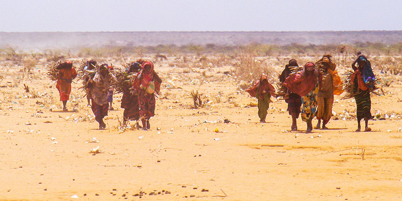 Somali uzun süren kuraklık nedeniyle kıtlık endişesi içinde