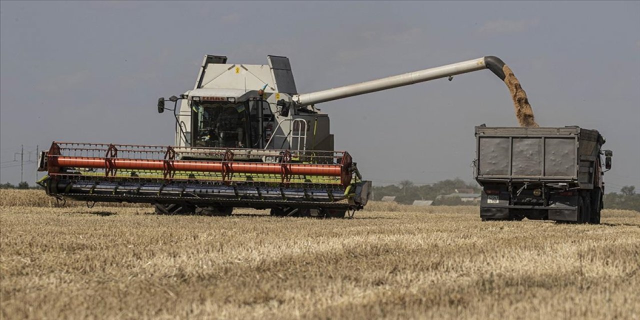 Ukrayna: İlk tahıl sevkiyatının bu hafta yapılmasını umuyoruz