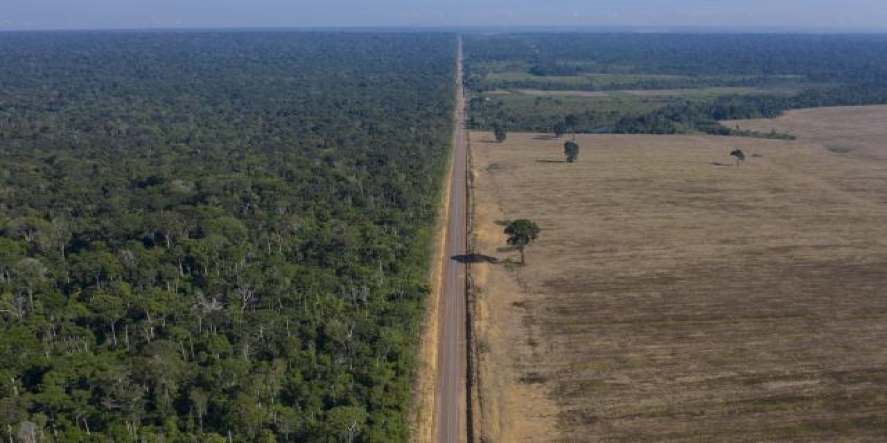 Dünyanın ciğeri Amazon ormanlarında rekor kayıp