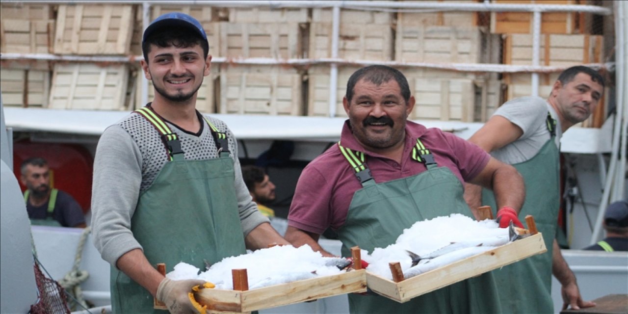 Batı Karadenizli balıkçıların bereketli palamutla yüzleri gülüyor