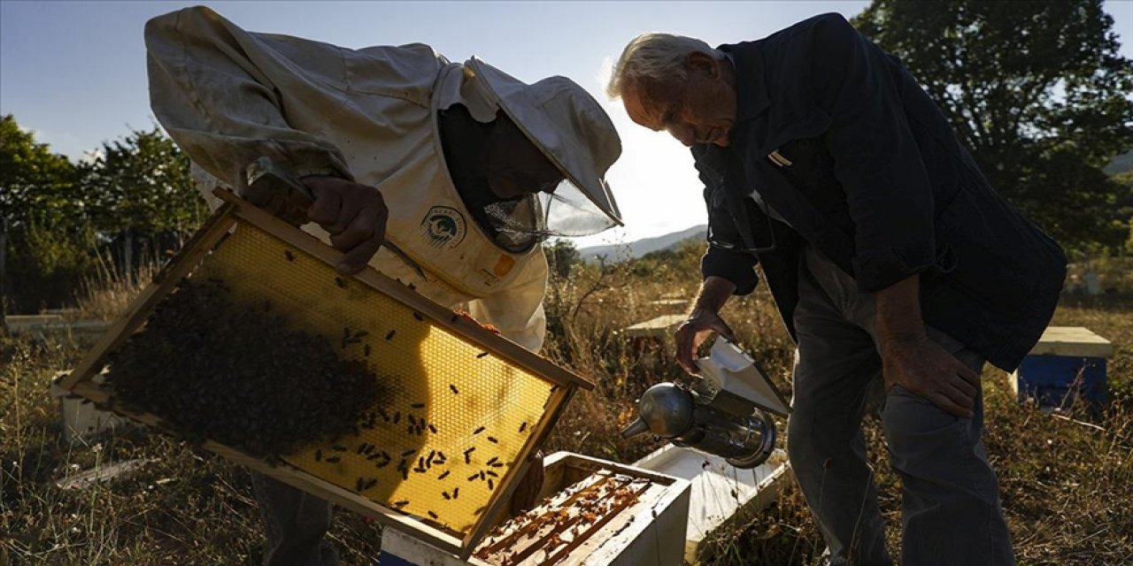 Çeyrek asırdır bal arılarının verimini artırmak için çalışıyor