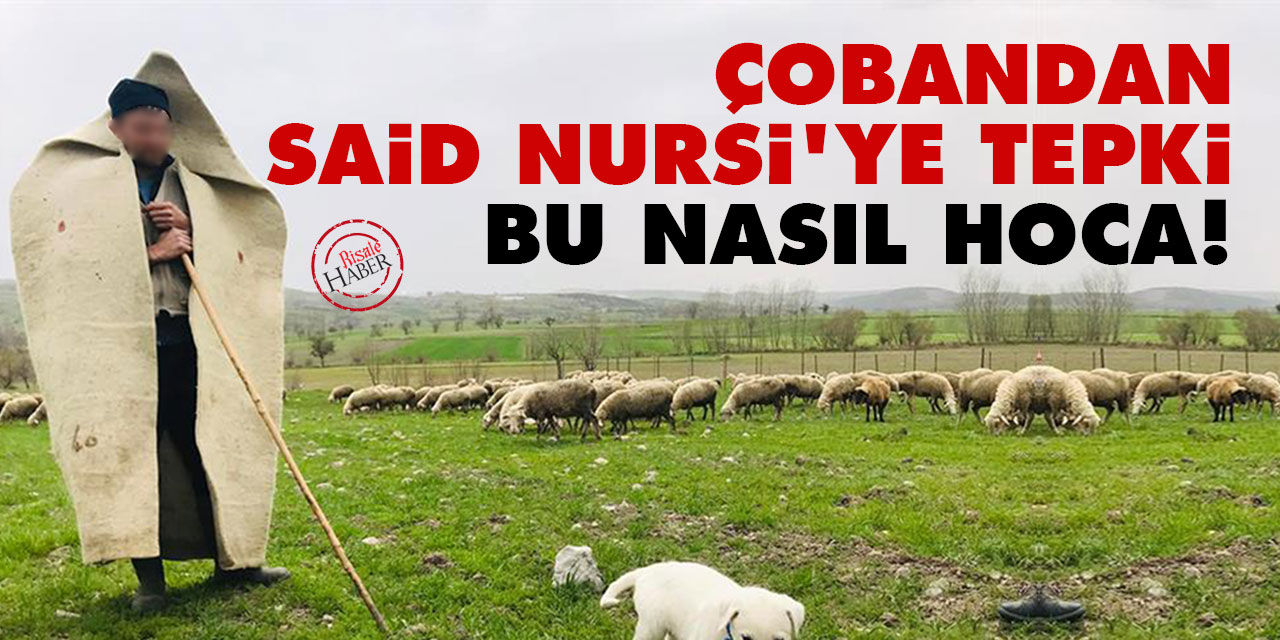 Çobandan Said Nursi'ye tepki: Bu nasıl hoca ben anlayamadım!
