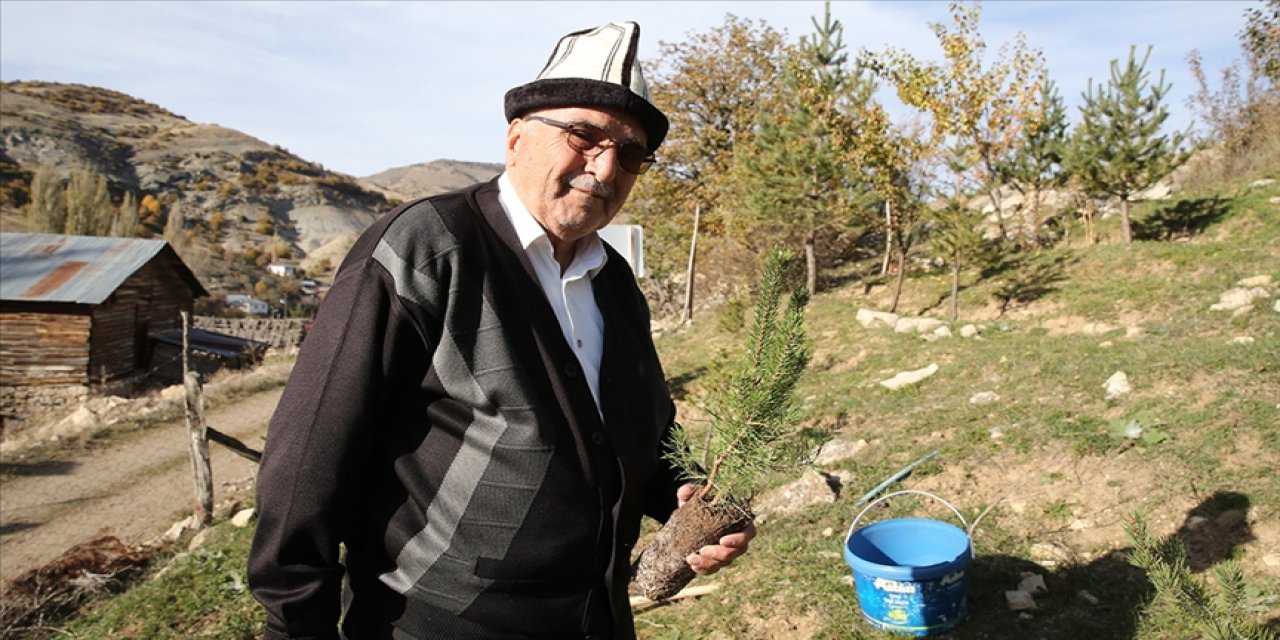 83 yaşındaki Cemal Emmi, atıl arazilere 20 bin ağaç dikti: Allah verdi, biz vesile olduk