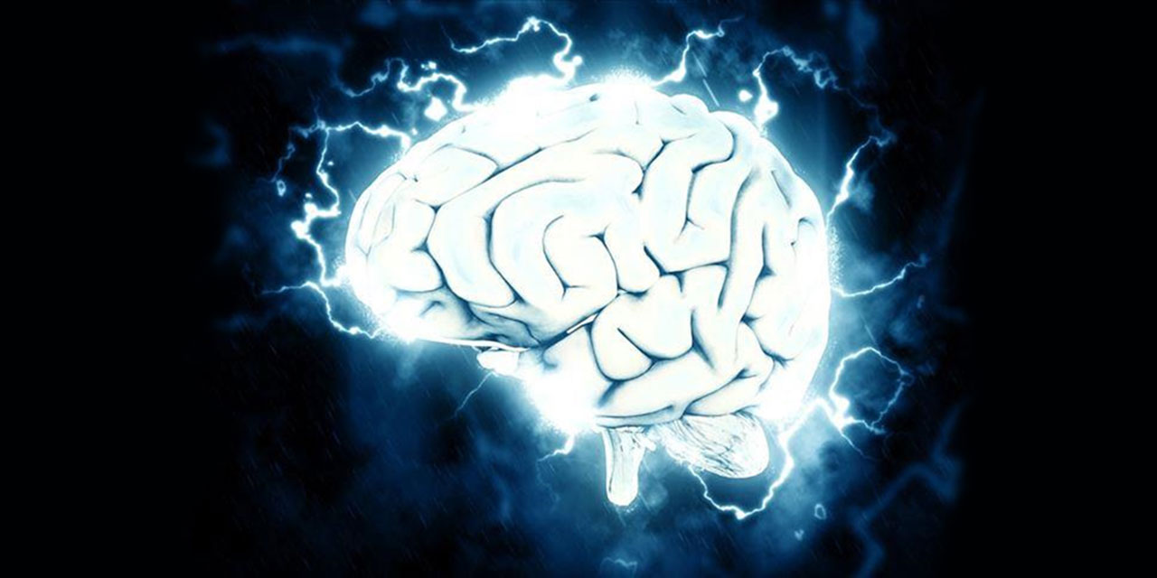 Beyin, bilimin yeni uzayı olarak görünüyor