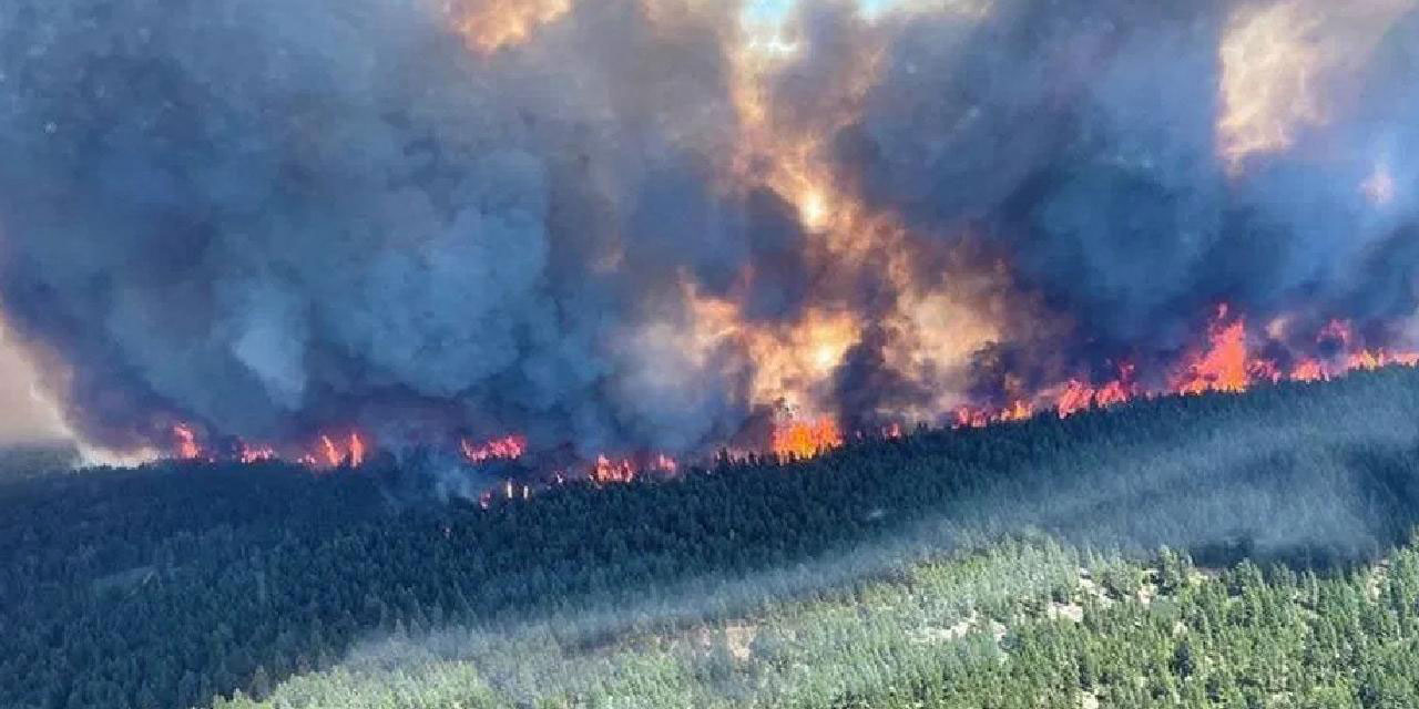 Kanada'da 78 noktada orman yangını başladı