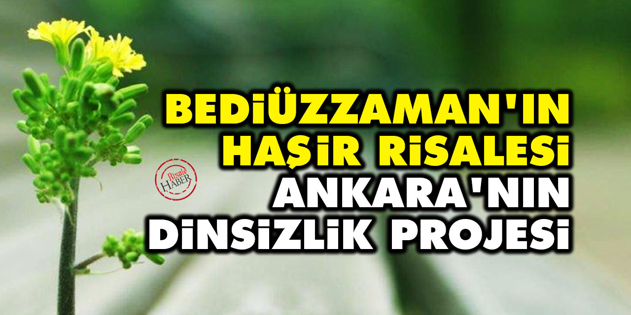 Bediüzzaman'ın Haşir Risalesi, Ankara'nın dinsizlik projesi