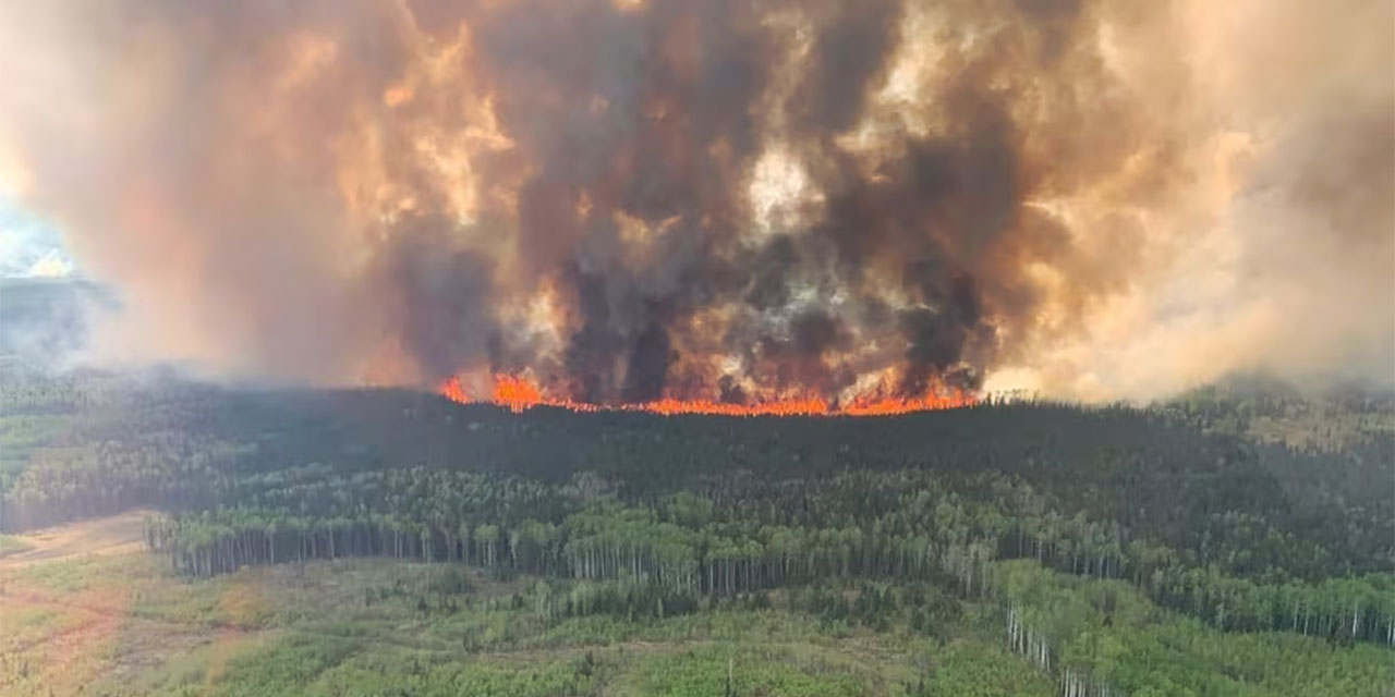 Kanada ormanları yanıyor: 3 milyon hektarlık alan zarar gördü