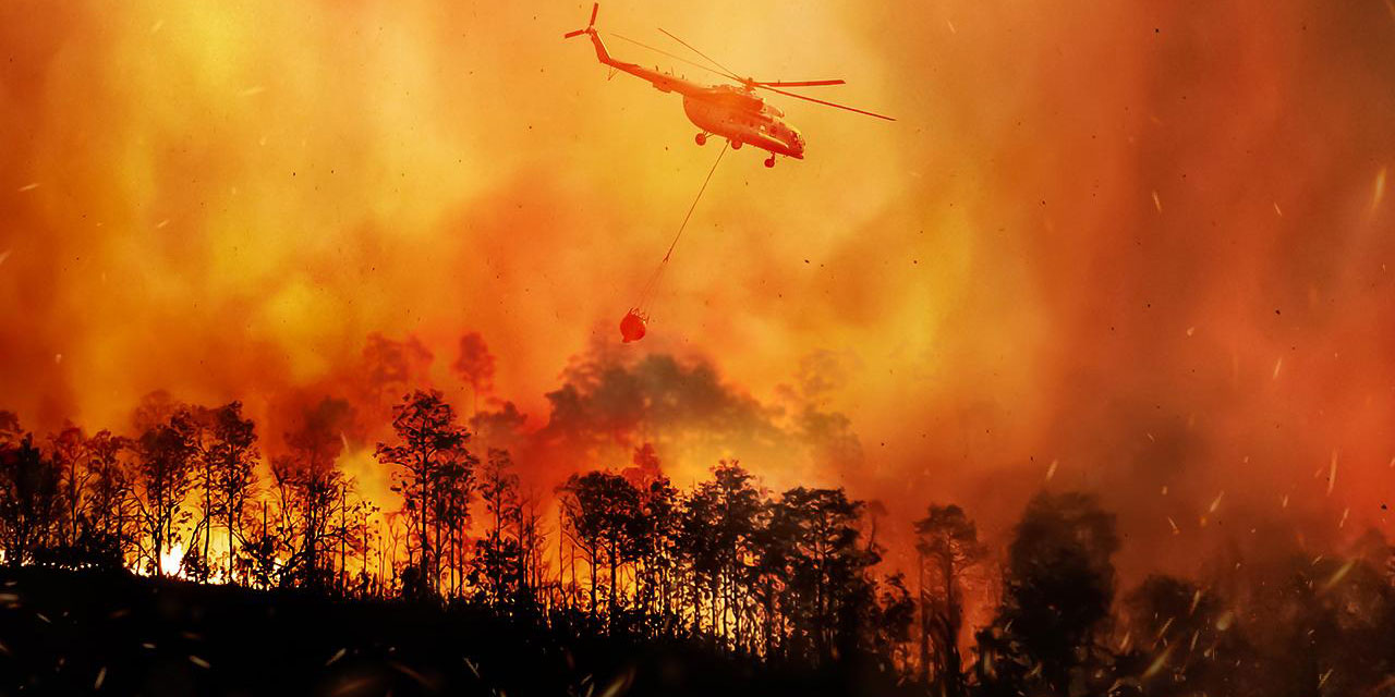 Kanada tarihinin en büyük yangını: 13,4 milyon hektar alan yandı