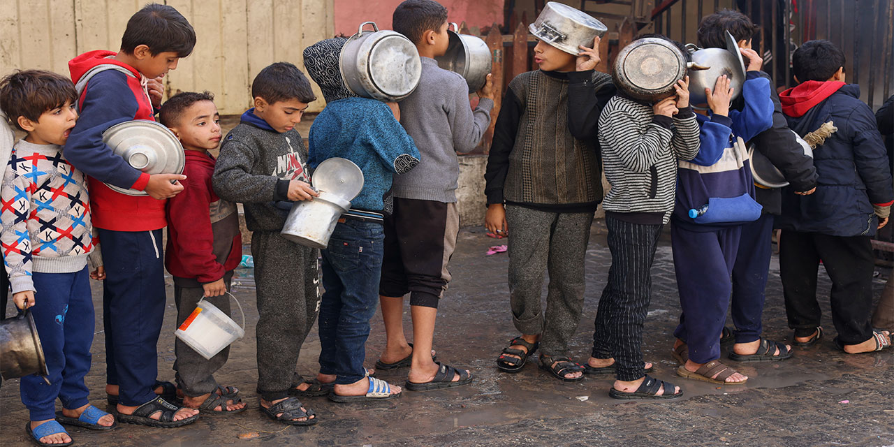 Kuzey Gazzeliler hayatta kalmak için 'kuş yemi' tüketiyor