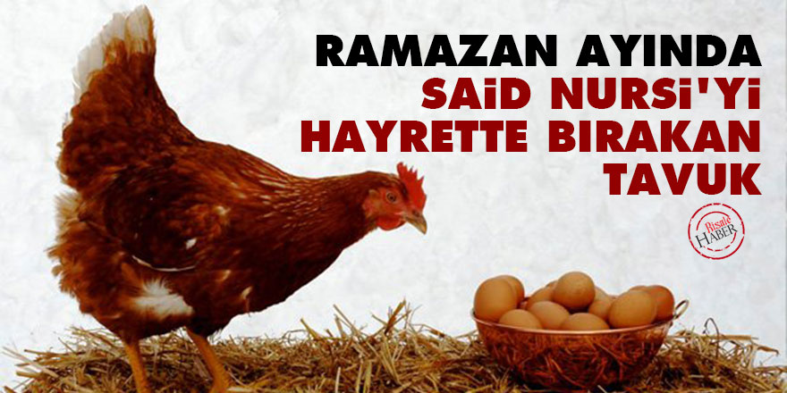 Ramazan ayında Said Nursi'yi hayrette bırakan tavuk