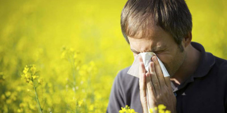 İzmir'de günlük polen riski hesaplanıyor