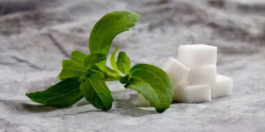 Kazakistan, kamış şekeri ve beyaz şeker ihracatını yasakladı
