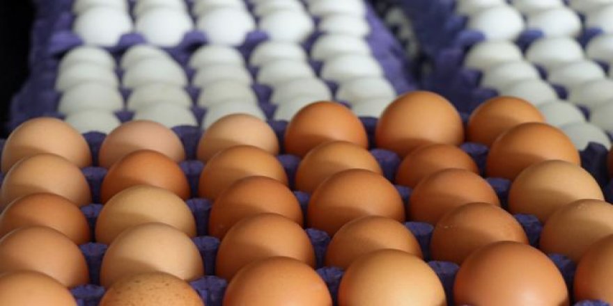 Yumurta fiyatları neden düşmüyor?