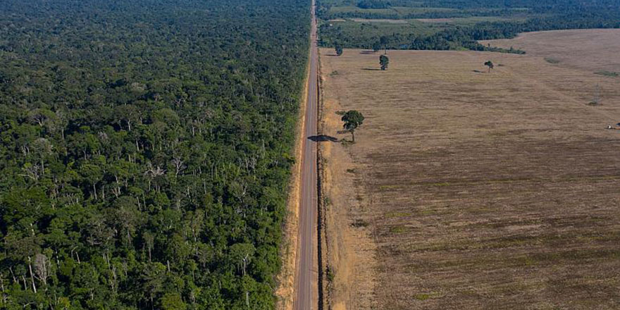 Brezilya'daki Amazonlar'da ormansızlaşma son 15 yılın en yüksek seviyesine çıktı