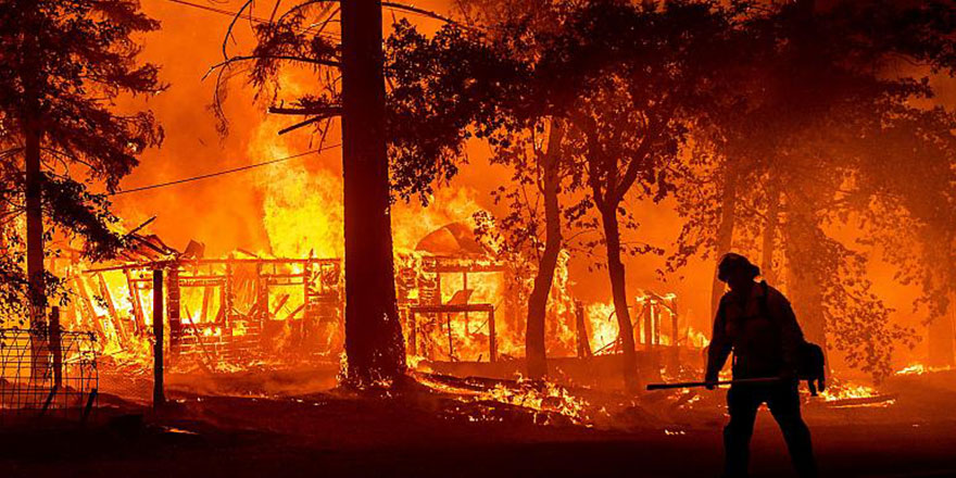 Elektrik şirketi orman yangınlarının tazmini için 55 milyon dolar daha ödeyecek