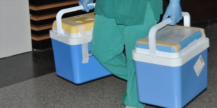 Akdeniz Üniversitesi'nde 210 hastaya organ nakli gerçekleşti