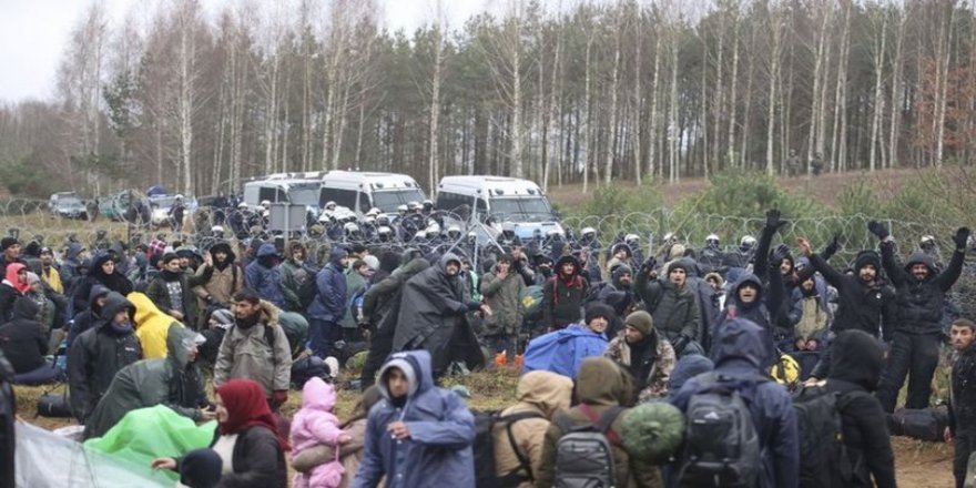 Belarus-Litvanya sınırında göçmenlere köpekle müdahale