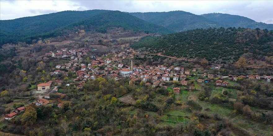 Balıkesir'deki köy Bakanlar Kurulu Kararı ile Bursa'ya taşınıyor