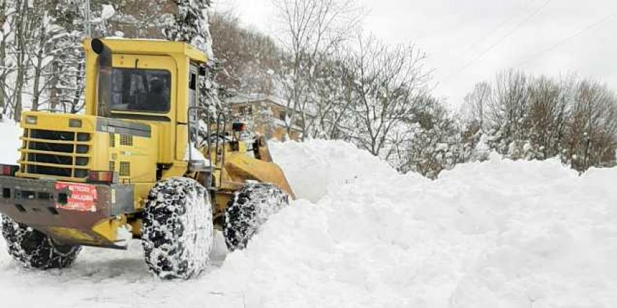 Kar nedeniyle 3 ilde 152 yerleşim yerinin yolu kapandı
