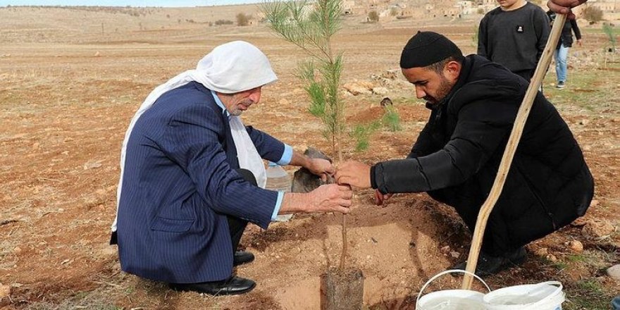 Mardin'de imam ve papaz birlikte fidan dikti