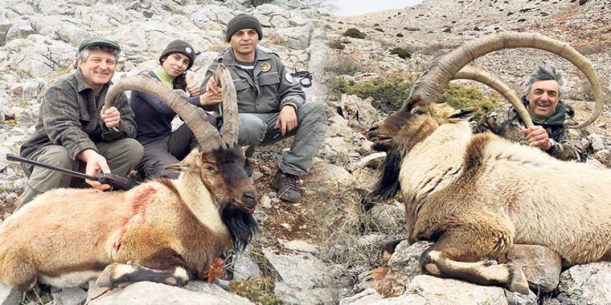 İspanya'dan gelen 12 avcı Tunceli'de huzuru kaçırdı