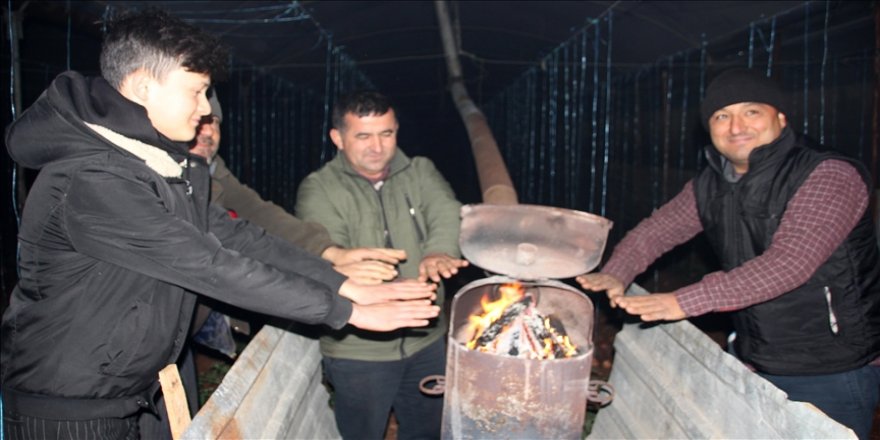 Çiftçiler zirai dona karşı seralarda soba yaktı