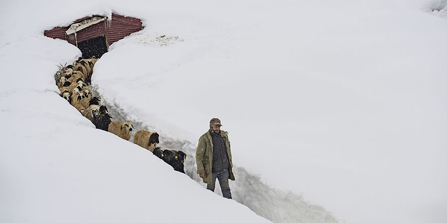 Ovacık'taki çiftçiler 2 metreyi aşan karı 'çile' değil 'bereket' görüyor