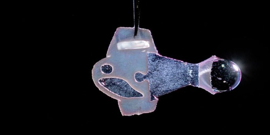 İnsan kalbi hücreleriyle hareket eden robot balık geliştirildi