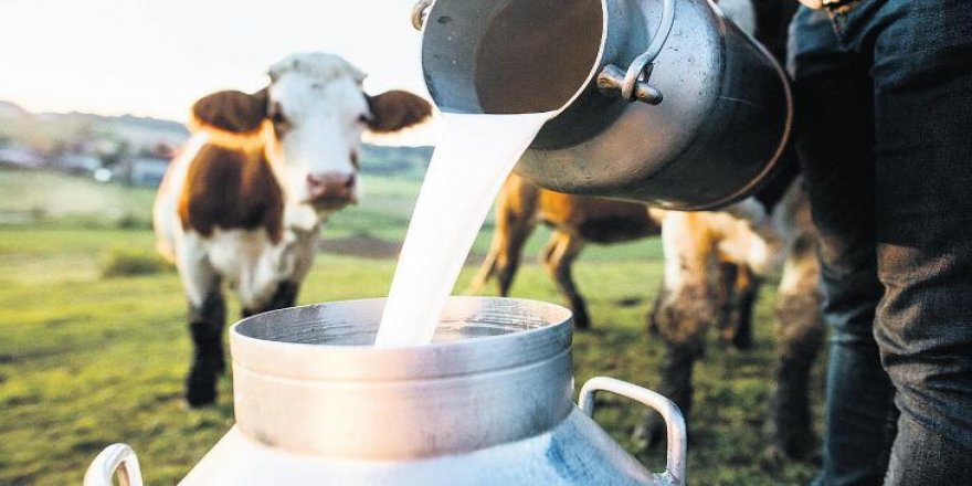 Türkiye'de 2021'de 23,2 milyon ton çiğ süt üretildi