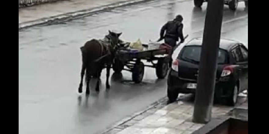 Merhamet örneği: Yorgun atına kıyamayan adam arabayı kendisi çekti