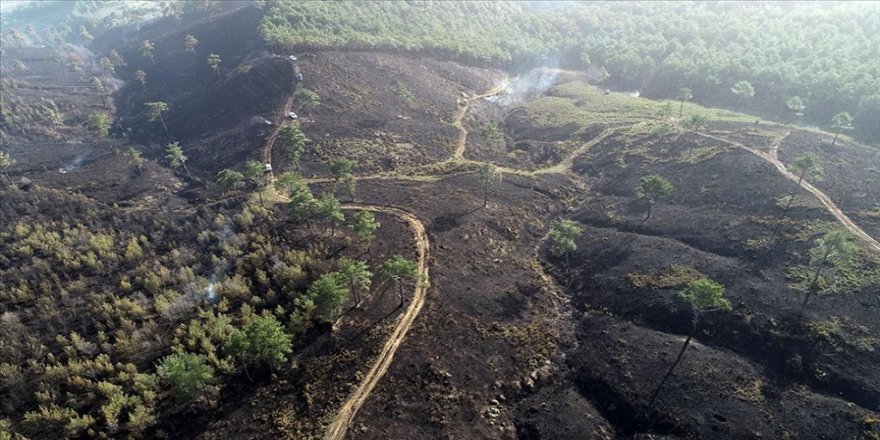 Bursa, Çanakkale ve Bilecik'teki orman yangınları kontrol altına alındı