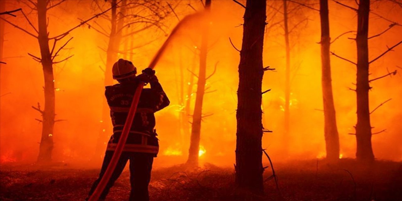 Fransa'nın güneyinde çıkan yangında 1300 hektar yeşil alan zarar gördü