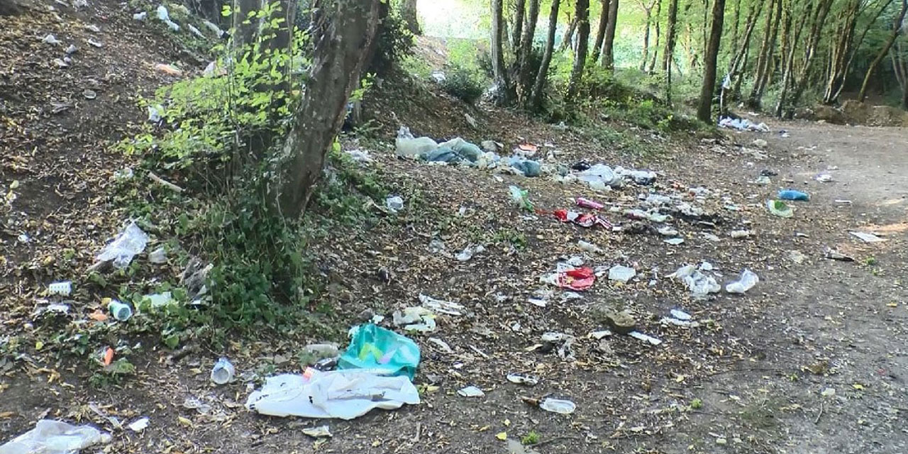 Buradan 'maalesef' insan geçmiş: Belgrad Ormanı'ndan 18 ton çöp toplandı