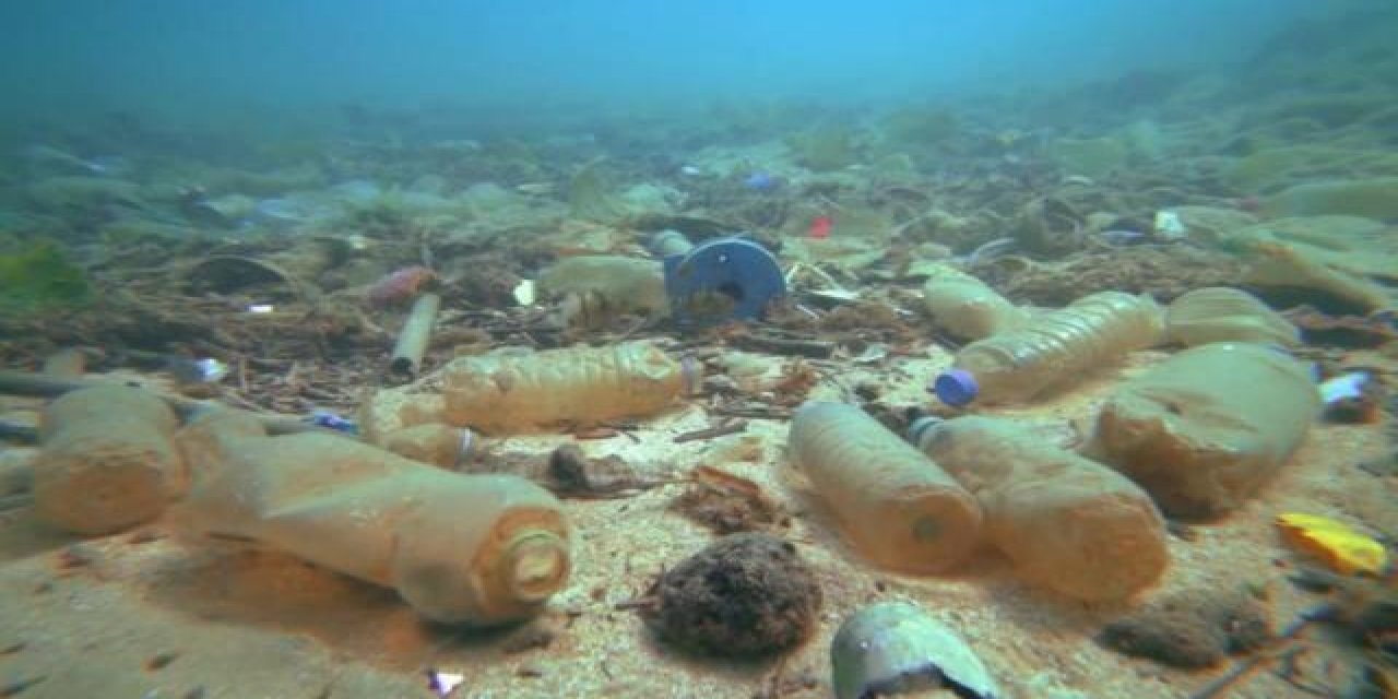 Okyanuslar 171 trilyon plastik parçasıyla dolu, deniz hayvanlarını ölüyor