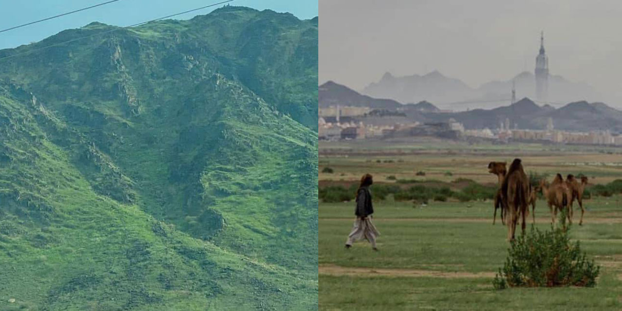 Arabistan dağları yeşillenince bu hadis gündeme geldi: Arap Yarımadası yeşillenmedikçe, kıyamet kopmaz!