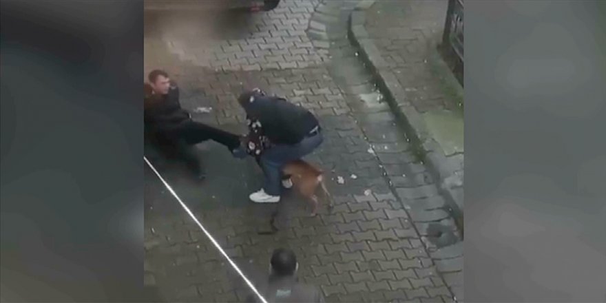 İstanbul'da pitbull cinsi köpeğin saldırdığı genç yaralandı