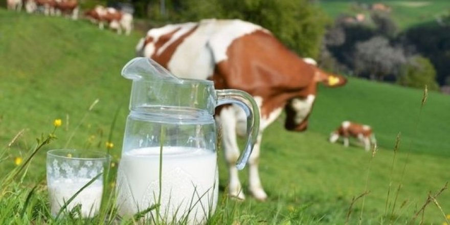 Süt Akademisi ilk modülü gerçekleştirildi