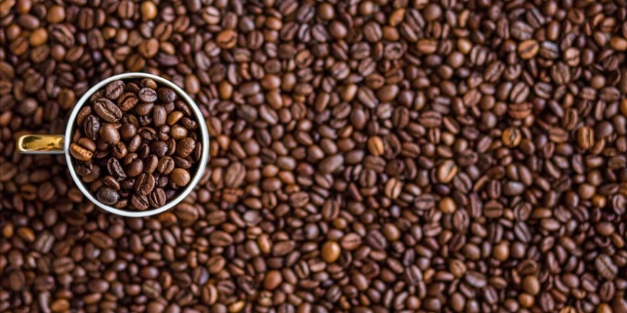Akdeniz'de kahve, Marmara'da pamuk yetiştirilecek