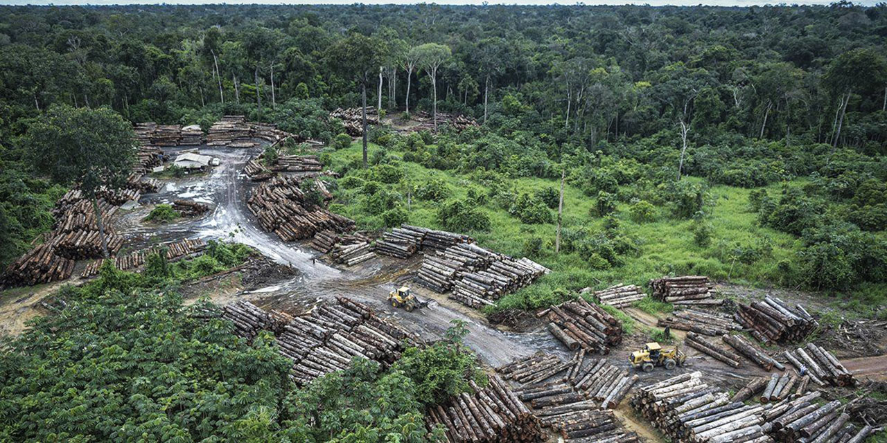 Dünyanın akciğerleri Amazon'da geçen yıl günde 3 bin futbol sahası büyüklüğünde orman yok oldu