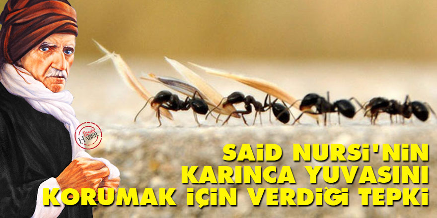 Said Nursi'nin karınca yuvasını korumak için verdiği tepki